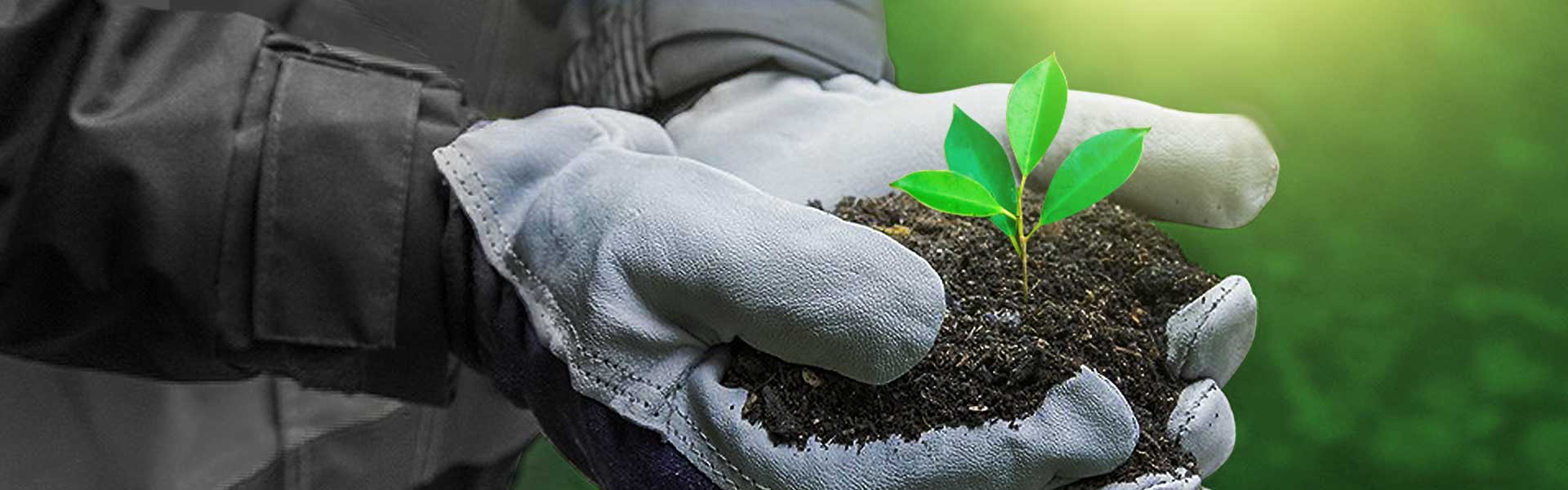 Sustainable Waste Management Solutions