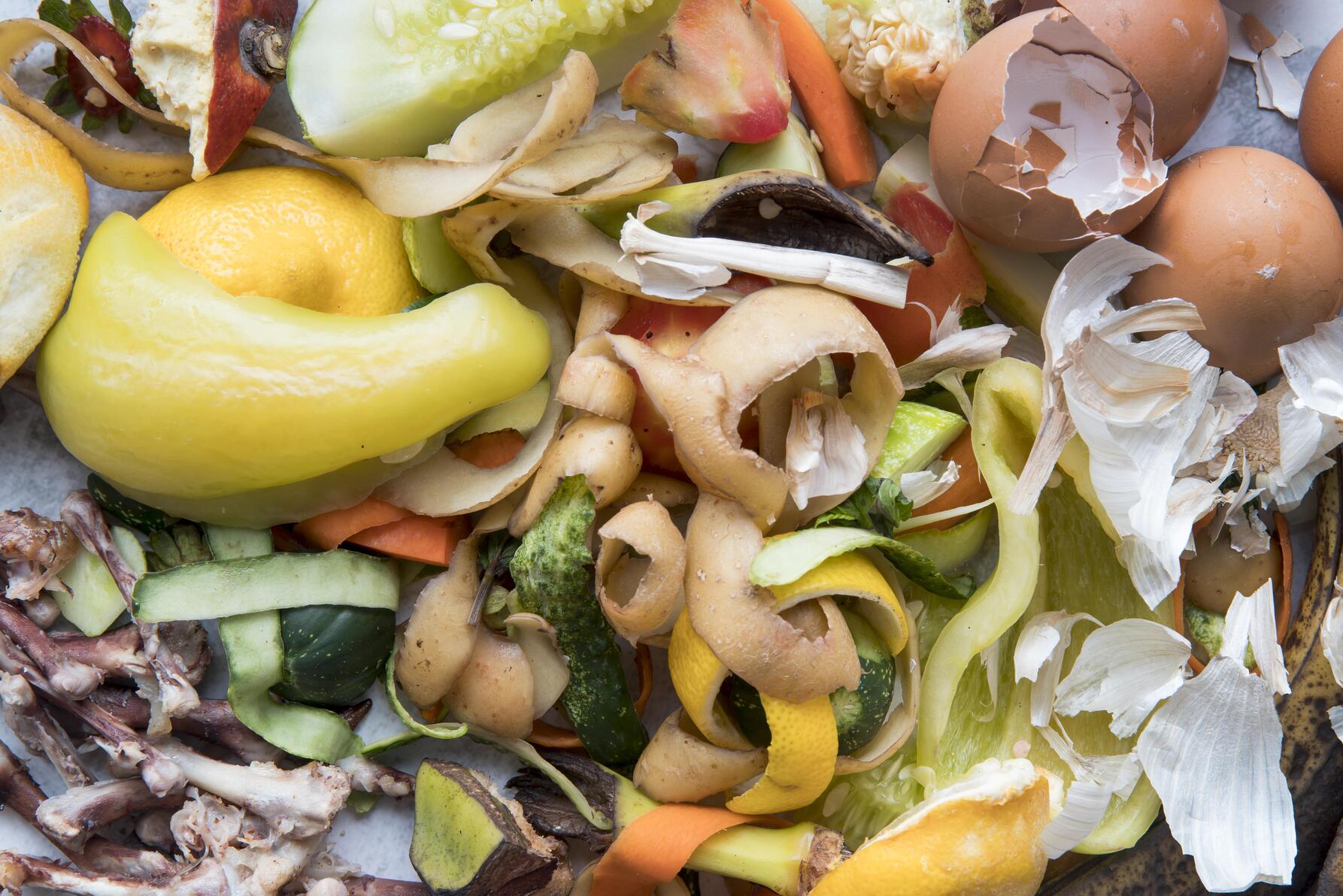 Food Waste Composter