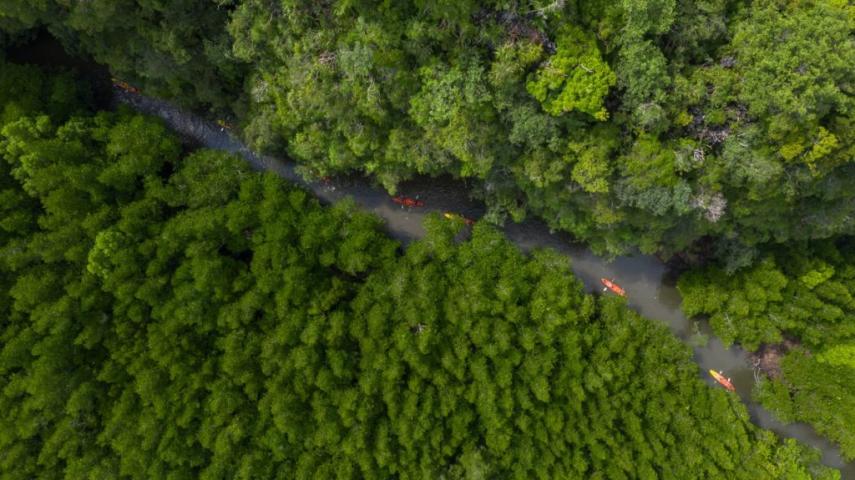 Ecosystem restoration shows path to end plastic waste in Thailand on World Environment Day