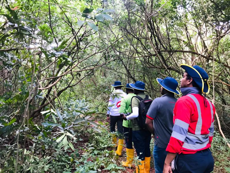 INSEE Reaffirms Commitment to Sri Lanka’s Environment on World Nature Conservation Day