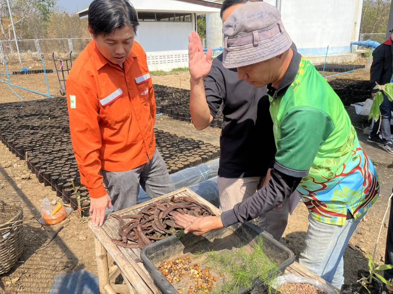 อินทรีอะกรีเกต สนับสนุนโครงการเก็บและเพาะเมล็ดพันธุ์และขยายพันธุ์พืชพื้นถิ่น สุพรรณบุรี