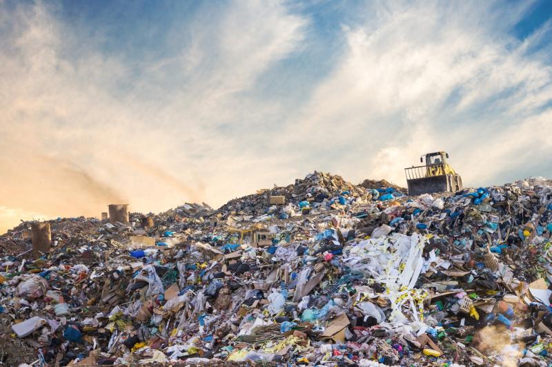 The International Day of Zero Waste