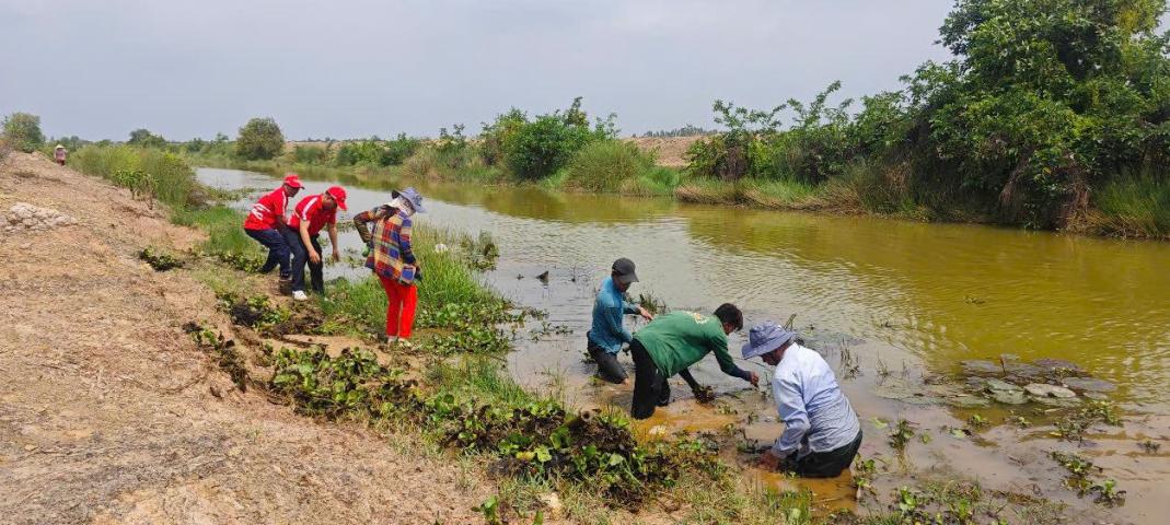 INSEE CLEARED INVASIVE PLANTS - ACTING FOR BIODIVERSITY