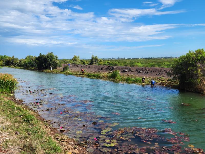 INSEE VIETNAM CONTINUES OUR EFFORTS TO CONTROL INVASIVE PLANT SPECIES AND CONTRIBUTE TO BIODIVERSITY CONSERVATION