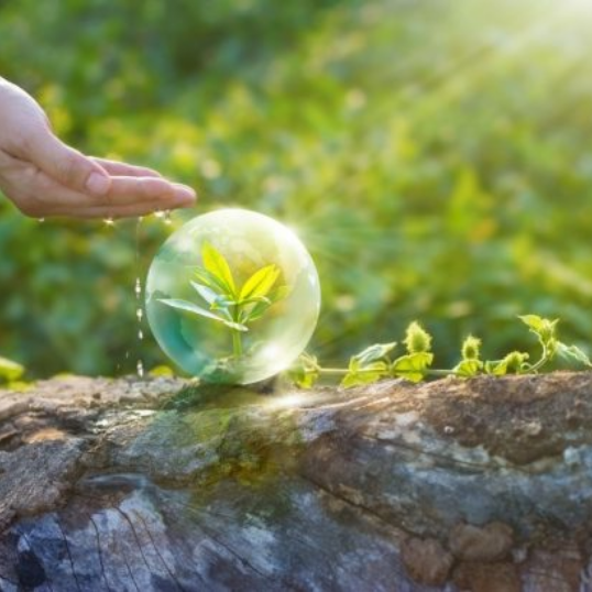 Ecocycle