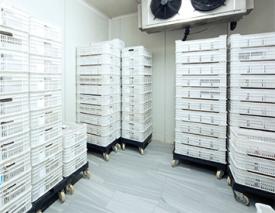 อินทรีฟรีซกรีต คอนกรีตห้องเย็น