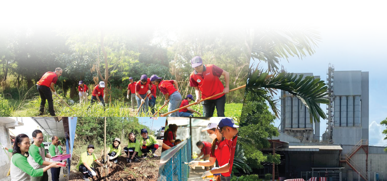 INSEE Mortar team